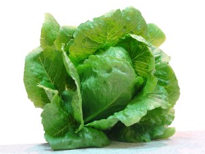 654782643_386824c272